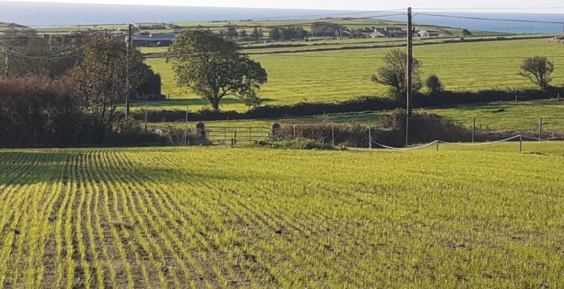 c.1/2 Acre Site at Grangebeg